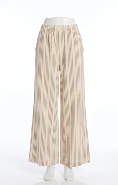 Z Supply Scout Knit Striped Pants In Cloud In Brown