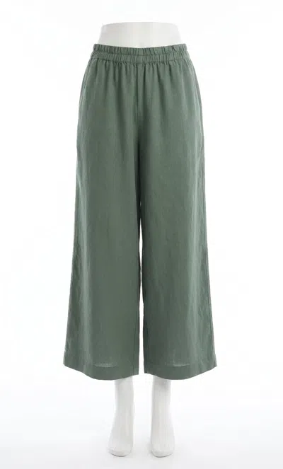 Z Supply Scout Linen Pants In Everglade In Green