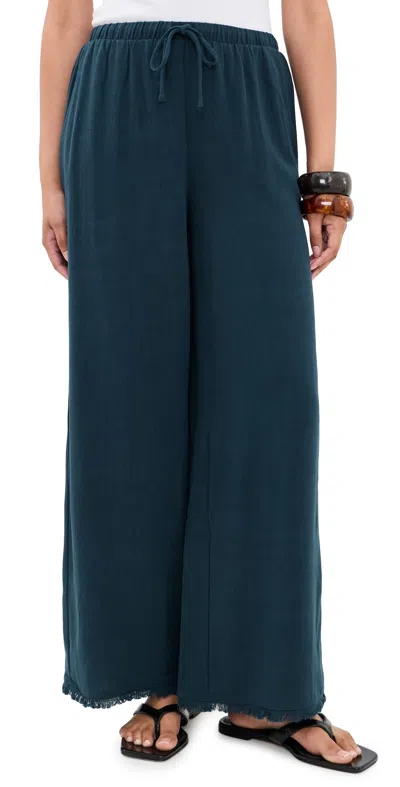 Z Supply Soren Pants Eclipse In Blue