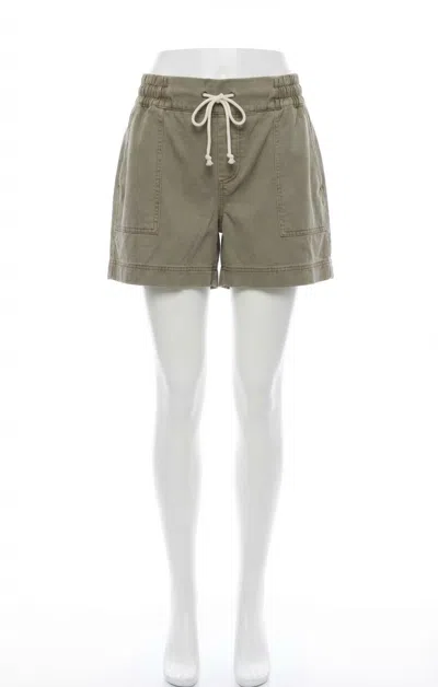 Z Supply Summerland Shorts In Dusty Palm In Green