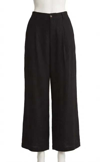 Z Supply Topanga Linen Pants In Black