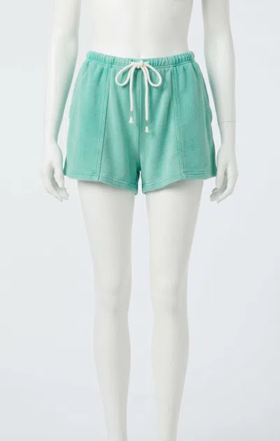Z Supply Vintage Terry Short In Green Juice