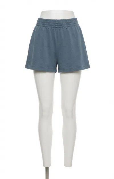 Z Supply Weekender Shorts In Boathouse In Multi