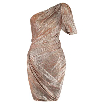 Pre-owned Zac Posen 2009  Runway Documented One Shoulder Bronze And Silver Dress In Brown