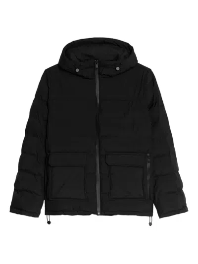 Zadig & Voltaire Hooded Padded Jacket In Black
