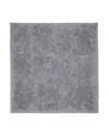 Zadig & Voltaire Kerry Printed Scarf In Gray