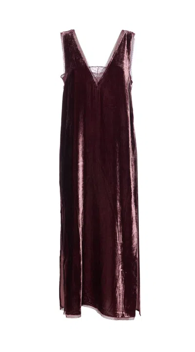 Zadig & Voltaire Renzo Velvet Dress In Burgundy