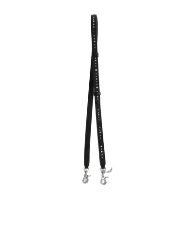 Zadig & Voltaire Studded Leather Strap In Black