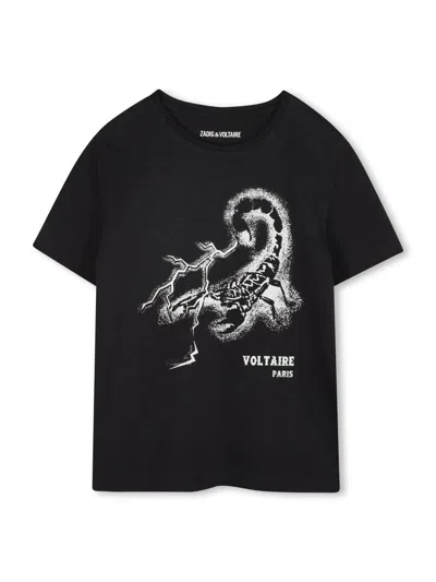 Zadig & Voltaire Kids' T-shirt With Scorpion Logo In Multi