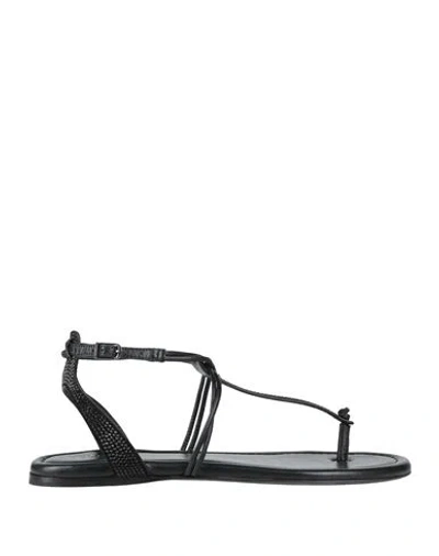 Zadig & Voltaire Woman Thong Sandal Black Size 9 Goat Skin