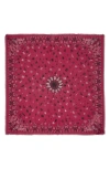 Zadig & Voltaire Maddie Scarf In Framboise