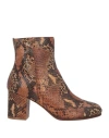 Zadig & Voltaire Woman Ankle Boots Camel Size 6 Leather In Beige