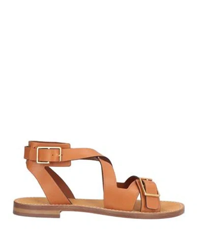 Zadig & Voltaire Woman Sandals Tan Size 8 Leather In Brown