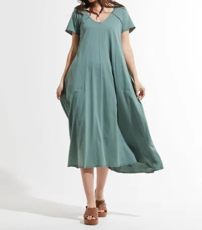 Zaket & Plover Maxi V-neck Dress In Sage In Multi