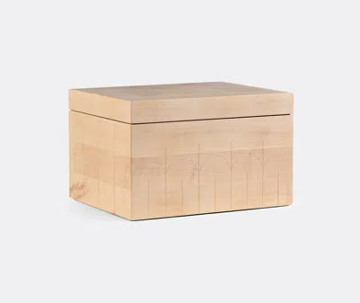 Zanat Large Branco Wood Box In Maple White Oil