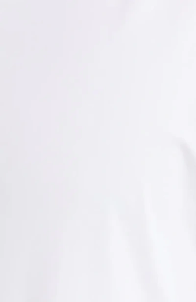 Zanella Piccadilly Solid Knit Nylon Blend Dress Shirt In White