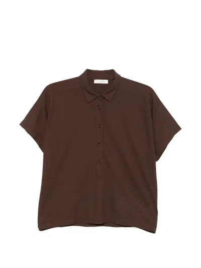 Zanone Button Polo Top In Brown