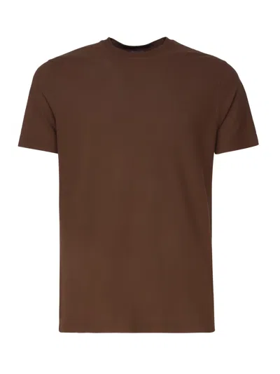 Zanone Cotton T-shirt In Brown