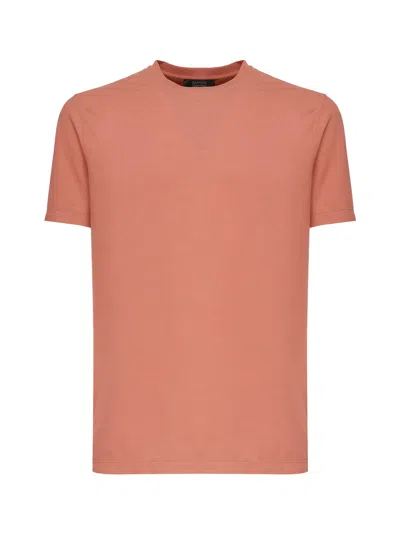 Zanone Cotton T-shirt In Peach