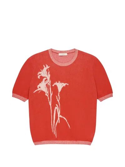 Zanone Jacquard Lily T-shirt In Red