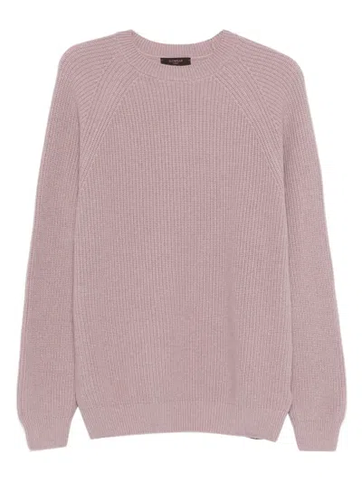 Zanone Pink Sweater In Purple