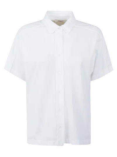 Zanone Short-sleeved Cotton Shirt With Classic Collar In White