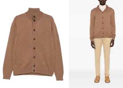 Zanone Sweaters In Brown