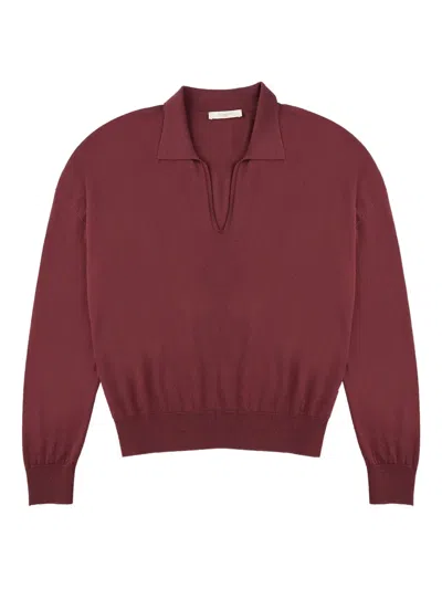 Zanone V-neck Sweater In Burgundy
