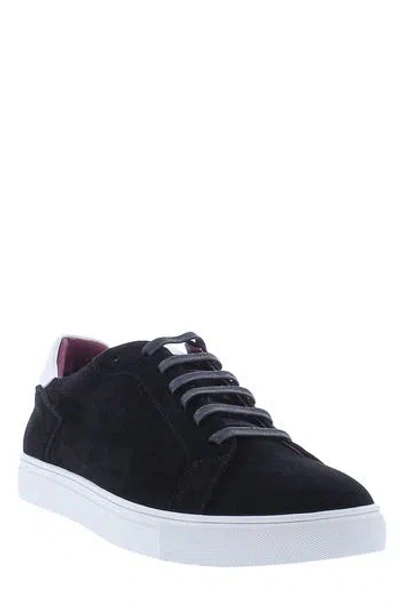 Zanzara Padua Sneaker In Black
