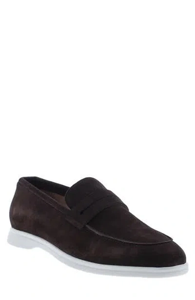 Zanzara Pompeii Driver In Brown