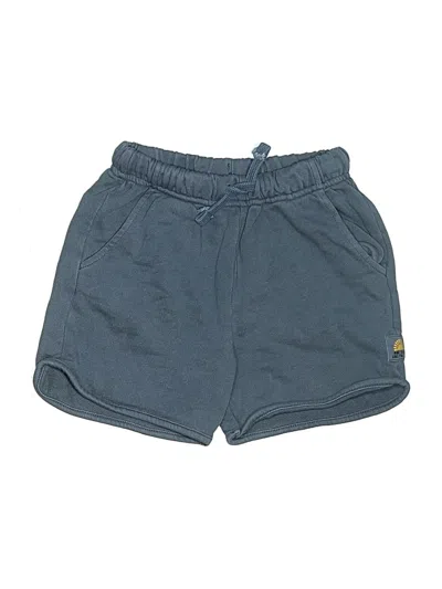 Pre-owned Zara Athletic Shorts In Blue