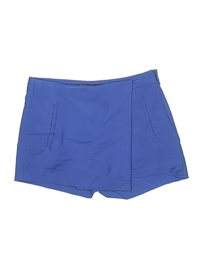 Pre-owned Zara Basic Casual Skirt In Blue