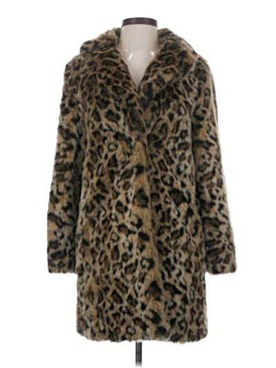 Pre-owned Zara Basic Coat In Brown