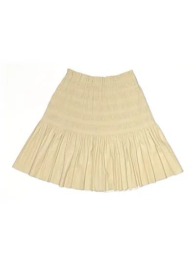 Pre-owned Zara Casual Skirt In Brown