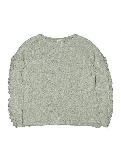 Pre-owned Zara Kids' Long Sleeve T-shirt In Gray