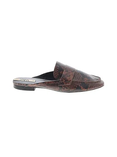 Pre-owned Zara Mule/clog In Brown