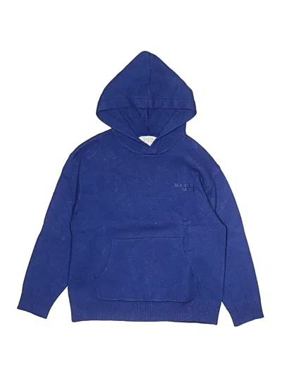 Pre-owned Zara Kids' Pullover Hoodie In Blue