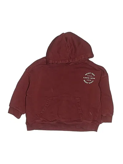 Pre-owned Zara Kids' Pullover Hoodie In Burgundy