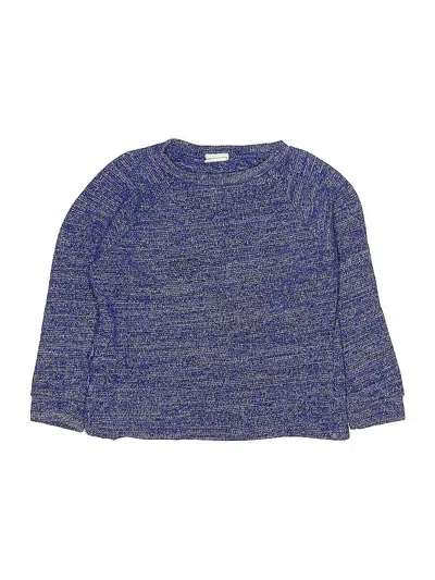Pre-owned Zara Kids' Pullover Sweater In Blue