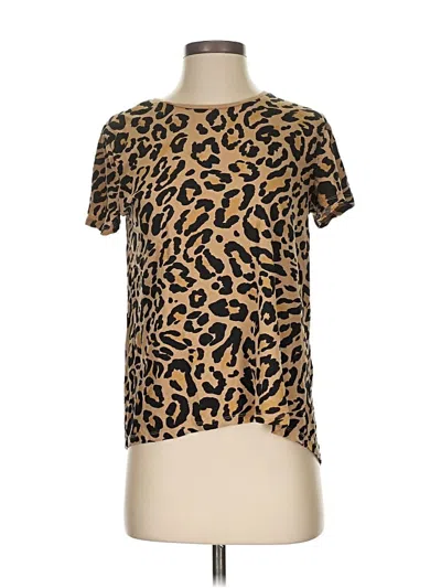 Pre-owned Zara Short Sleeve T-shirt In Brown