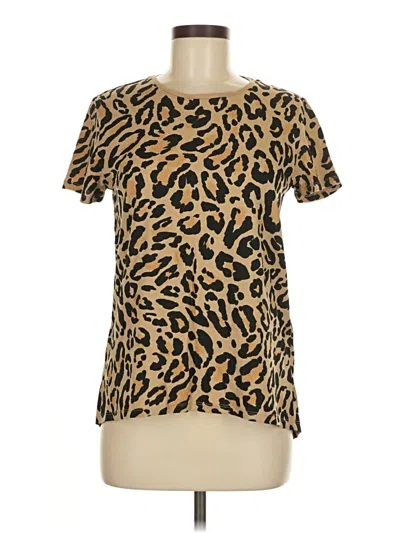 Pre-owned Zara Short Sleeve T-shirt In Brown