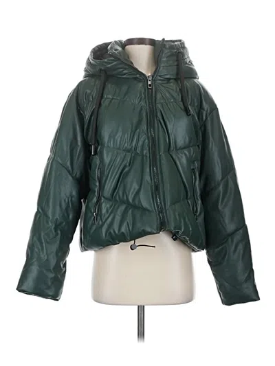 Pre-owned Zara Snow Jacket In Green