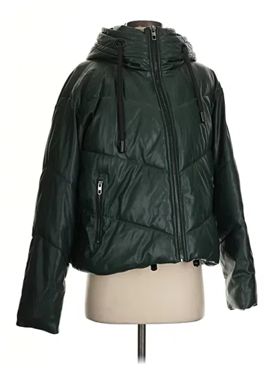 Pre-owned Zara Snow Jacket In Green