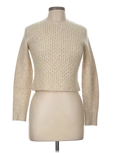 Pre-owned Zara Turtleneck Sweater In Brown