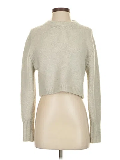 Pre-owned Zara Turtleneck Sweater In Silver