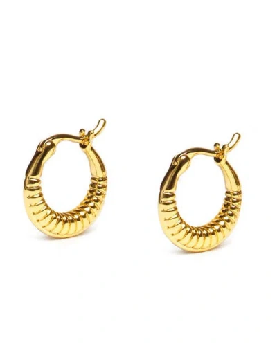 Zarux Timeless Mini Hoops In Gold