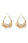 Zaxie By Stefanie Taylor Shaky Beaded Filigree Hoop Earrings In Gold