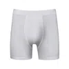 Zd Zero Defects Men's Breno Organic Cotton Boxers - Comfort And Quality Redefined - Color White In White