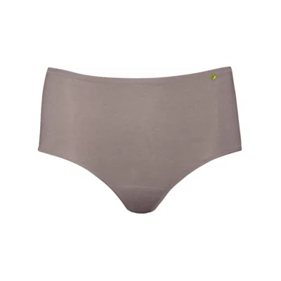Zd Zero Defects Women's Brown Atenea High-waist Brief – Stylisht Fit & Comfort With Soy Fiber - Color Mink