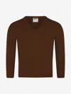 Zeco Schoolwear Zeco Kids School Knitted V-neck Jumper In Brown